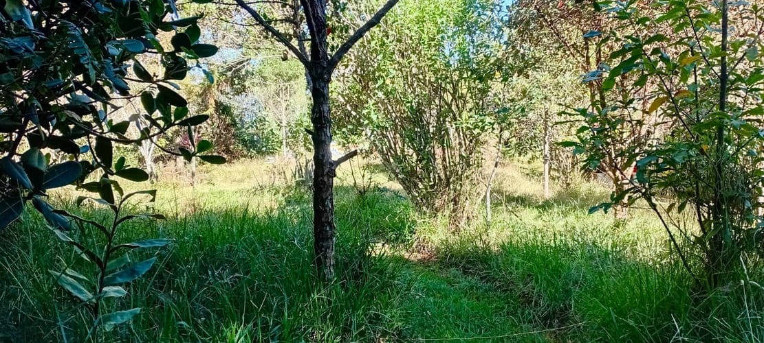 Lote en venta en La Catedral, Envigado, 2688 m² · foto 2 de 12