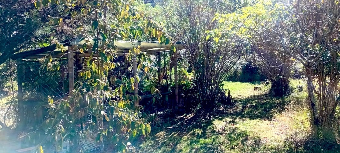 Lote en venta en La Catedral, Envigado, 2688 m² · foto 6 de 12