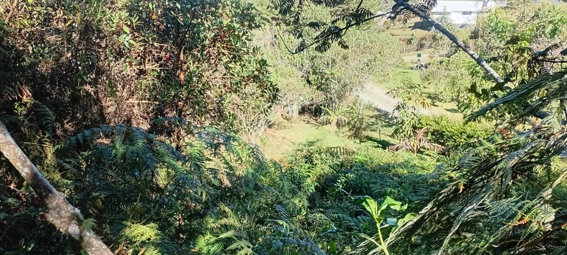 Lote en venta en La Catedral, Envigado, 2688 m² · foto 11 de 12