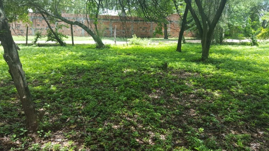 Lote en venta en Girardot, Ricaurte, 900 m² · foto 3 de 6