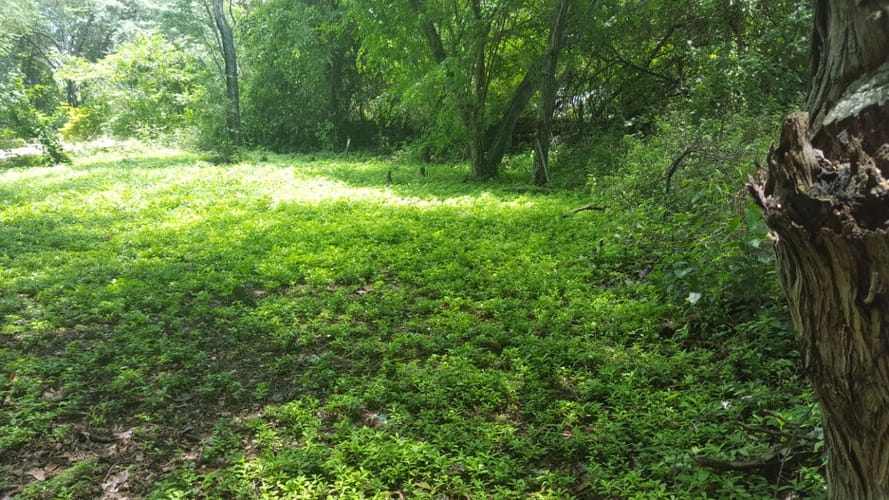 Lote en venta en Girardot, Ricaurte, 900 m² · foto 4 de 6