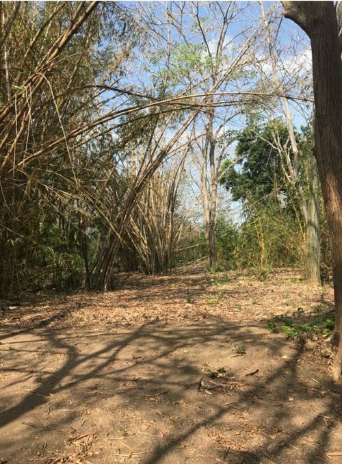 Finca en venta en Pasacaballos Ii, Cartagena, 324 m² · foto 2 de 24