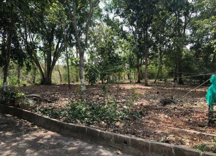Finca en venta en Pasacaballos Ii, Cartagena, 324 m² · foto 3 de 24