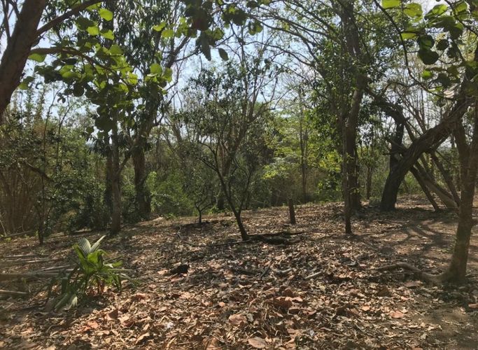 Finca en venta en Pasacaballos Ii, Cartagena, 324 m² · foto 7 de 24