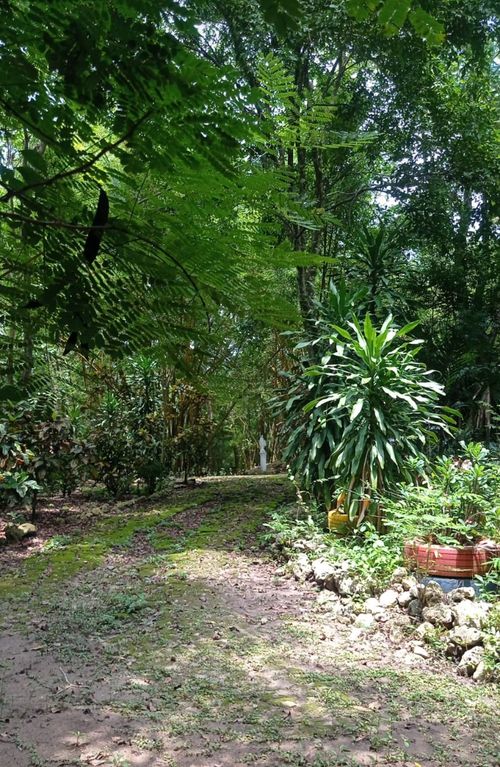 Finca en venta en Pasacaballos Ii, Cartagena, 324 m² · foto 10 de 24