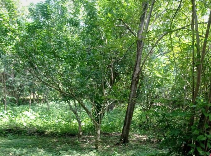 Finca en venta en Pasacaballos Ii, Cartagena, 324 m² · foto 11 de 24