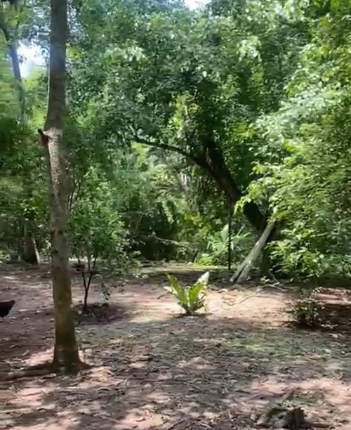 Finca en venta en Pasacaballos Ii, Cartagena, 324 m² · foto 13 de 24