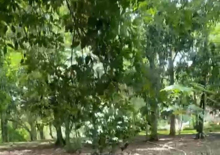Finca en venta en Pasacaballos Ii, Cartagena, 324 m² · foto 16 de 24