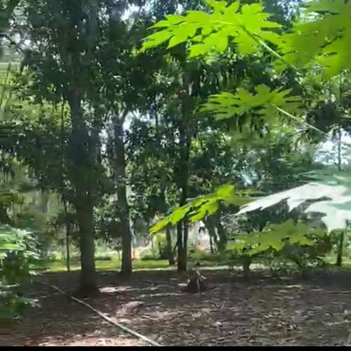 Finca en venta en Pasacaballos Ii, Cartagena, 324 m² · foto 17 de 24