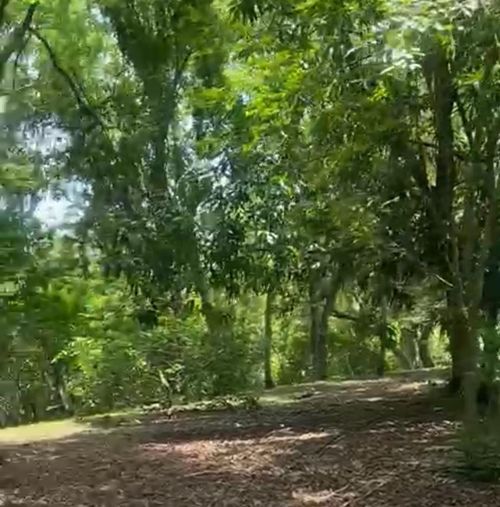 Finca en venta en Pasacaballos Ii, Cartagena, 324 m² · foto 20 de 24