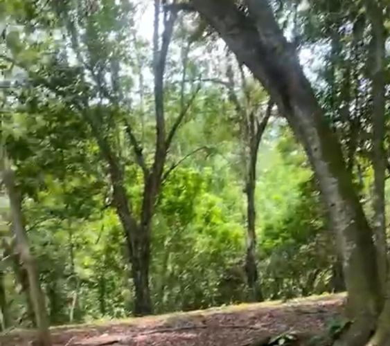 Finca en venta en Pasacaballos Ii, Cartagena, 324 m² · foto 21 de 24