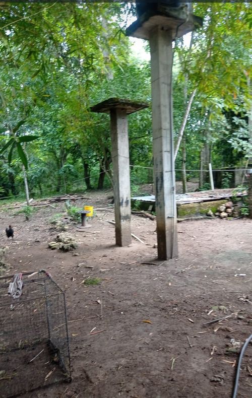 Finca en venta en Pasacaballos Ii, Cartagena, 324 m² · foto 24 de 24