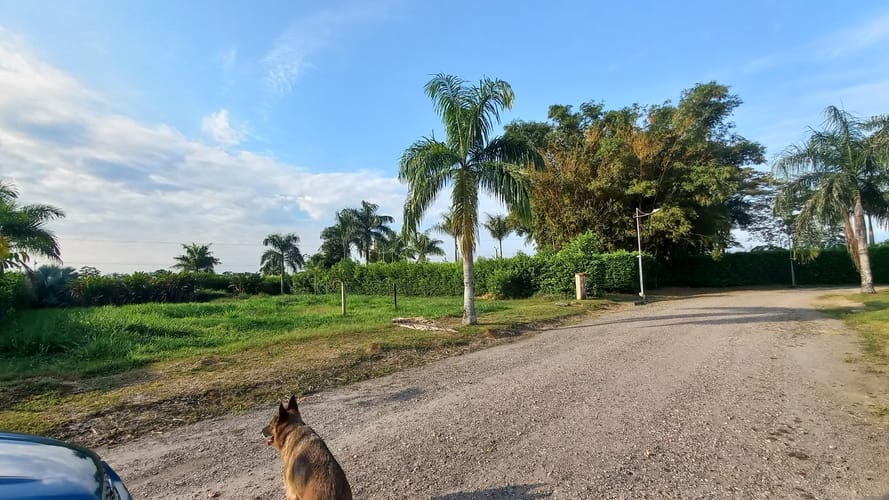 Lote en venta en El Amor, Villavicencio, 1147 m² · foto 2 de 7