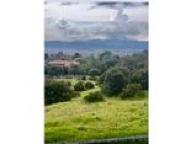 Lote en venta en Yerbabuena, Chía, 10077 m² · foto 3 de 4