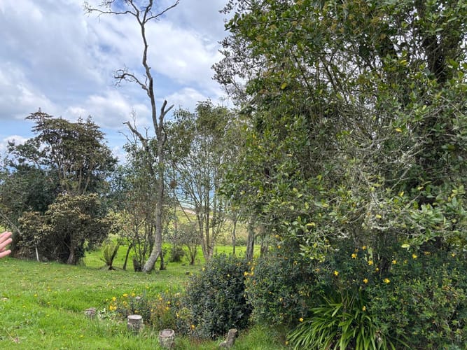 Casa de 4 alcobas en venta en Yerbabuena, Sopó, 550 m² · foto 15 de 18