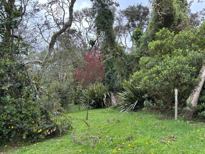 Casa de 4 alcobas en venta en Yerbabuena, Sopó, 550 m² · foto 16 de 18