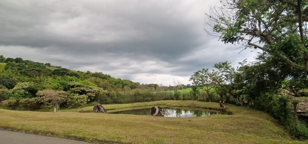 Lote en venta en Tablones, Palmira, 3102 m² · foto 8 de 24