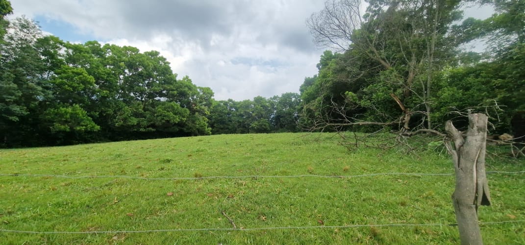 Lote en venta en Tablones, Palmira, 3102 m² · foto 16 de 24