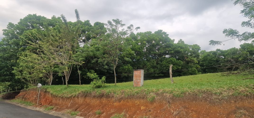 Lote en venta en Tablones, Palmira, 3102 m² · foto 18 de 24