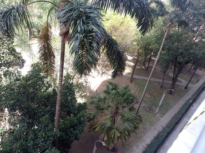 Apartamento de 3 alcobas en venta en Los Colores, Medellín, 67 m² · foto 19 de 24