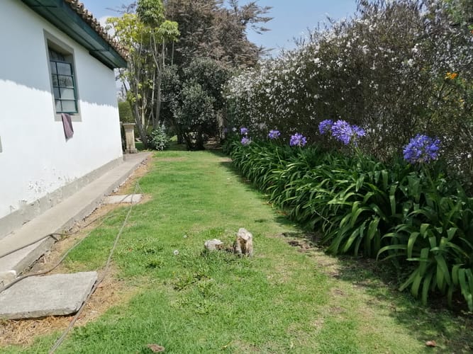 Casa de 5 alcobas en venta en Fonquetá, Chía, 400 m² · foto 5 de 22