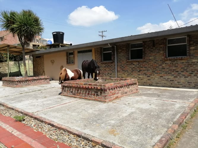 Casa de 5 alcobas en venta en Fonquetá, Chía, 400 m² · foto 6 de 22