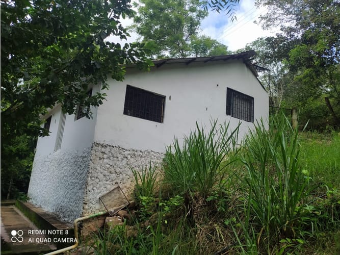 Finca en venta en Casa Blanca, Ricaurte, 72 m² · foto 8 de 24