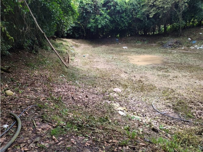 Finca en venta en Casa Blanca, Ricaurte, 72 m² · foto 11 de 24