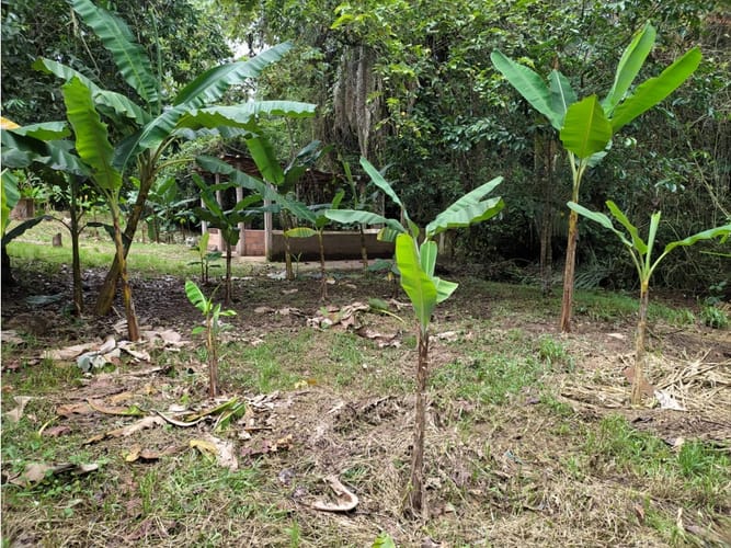 Finca en venta en Casa Blanca, Ricaurte, 72 m² · foto 12 de 24