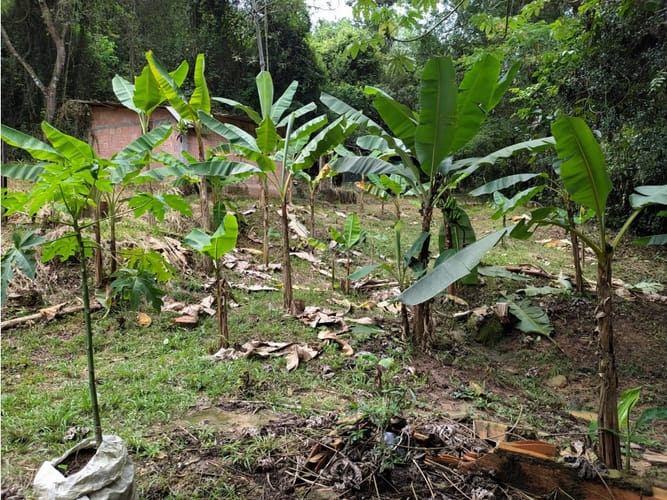 Finca en venta en Casa Blanca, Ricaurte, 72 m² · foto 16 de 24
