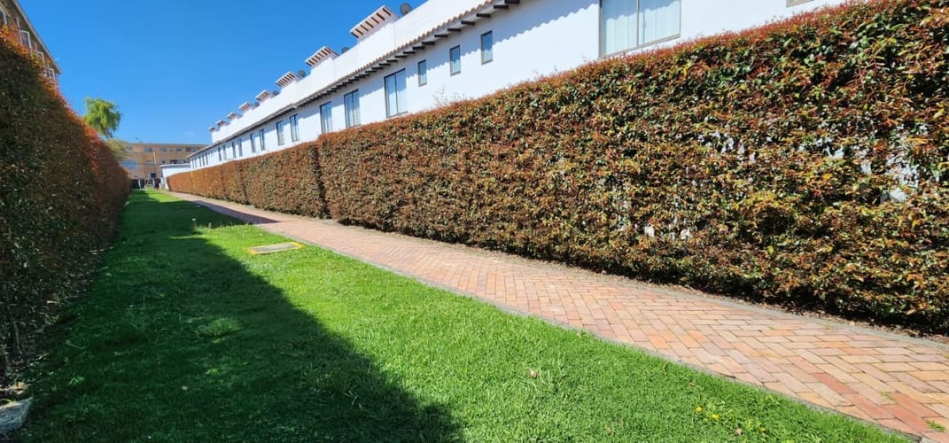 Casa de 3 alcobas en arriendo en El Abra, Cota, 180 m² · foto 20 de 24