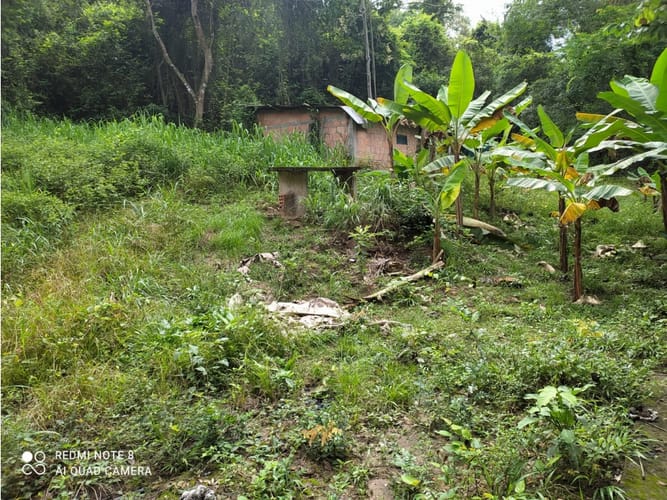 Finca en venta en Casa Blanca, Ricaurte, 72 m² · foto 21 de 24