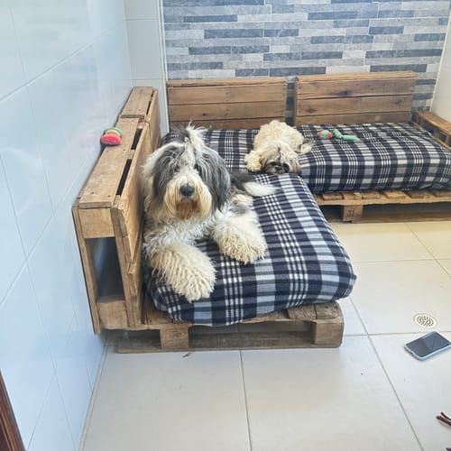 Casa de 4 alcobas en venta en Siberia, Cota, 325 m² · foto 17 de 18