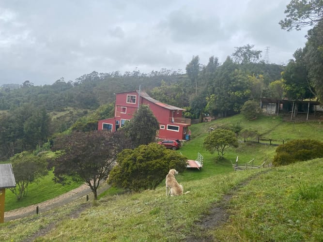 Finca en venta en Centro, La Calera, 800 m² · foto 2 de 24