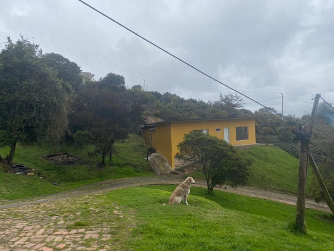 Finca en venta en Centro, La Calera, 800 m² · foto 4 de 24