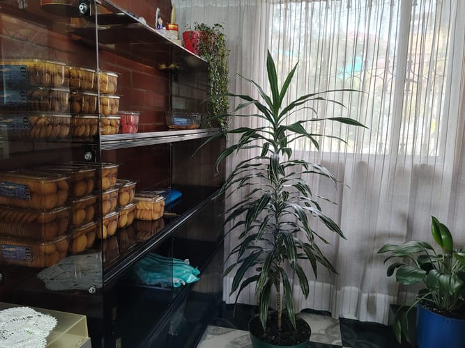 Apartamento de 3 alcobas en venta en Puerto Rico, Bogotá, 68 m² · foto 15 de 24