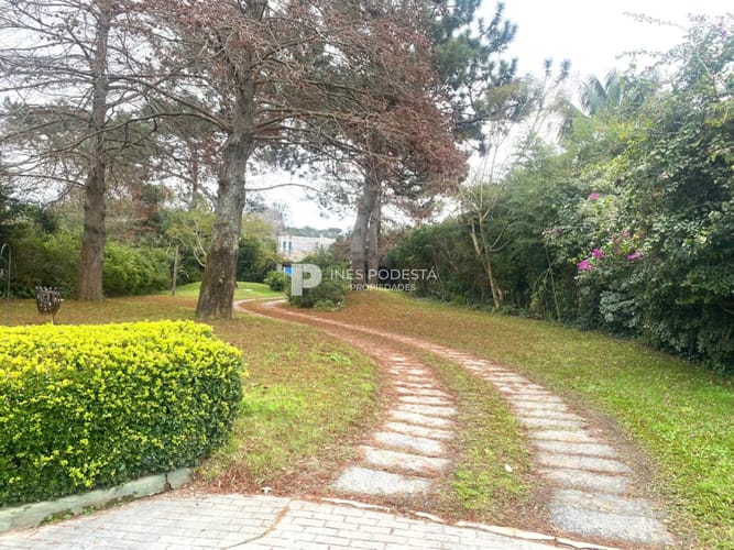 Local de 20 m2 para alquiler anual · Foto 8