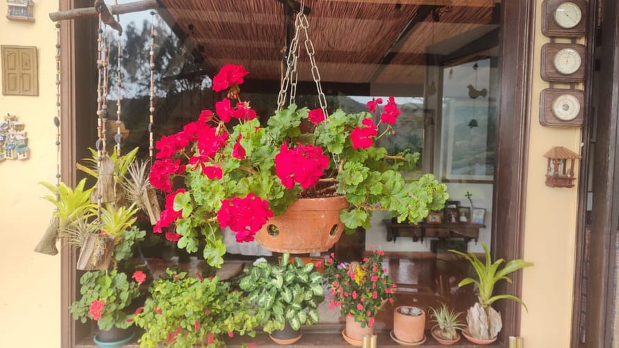 Finca en venta en El Saladito, Cali, 150 m² · foto 9 de 24