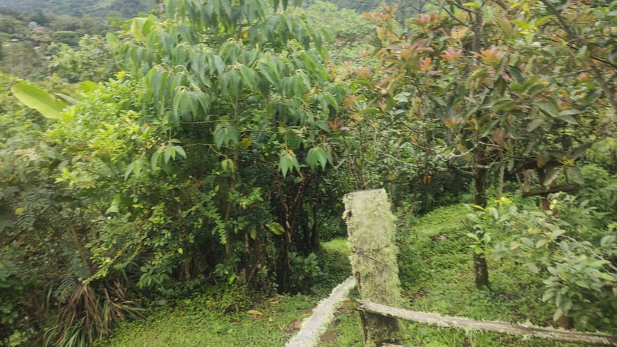 Finca en venta en El Saladito, Cali, 150 m² · foto 20 de 24