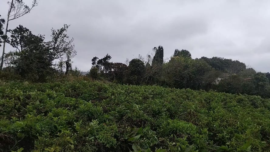 Lote en venta en Catambuco, Pasto, 50000 m² · foto 2 de 3