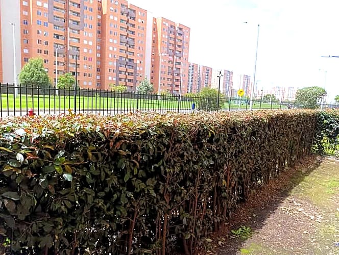 Apartamento de 3 alcobas en arriendo en La Prosperidad, Madrid, 64 m² · foto 3 de 4