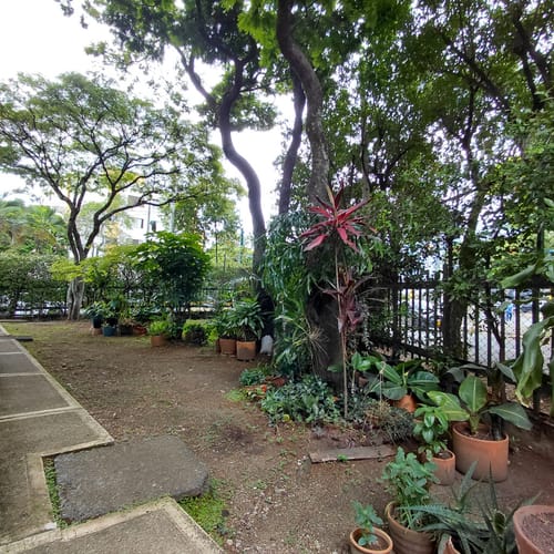Apartamento de 3 alcobas en arriendo en Colseguros Andes, Cali, 60 m² · foto 24 de 24