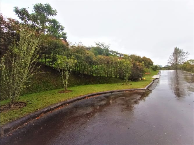 Lote en venta en Pantanillo, El Retiro, 8230 m² · foto 5 de 11