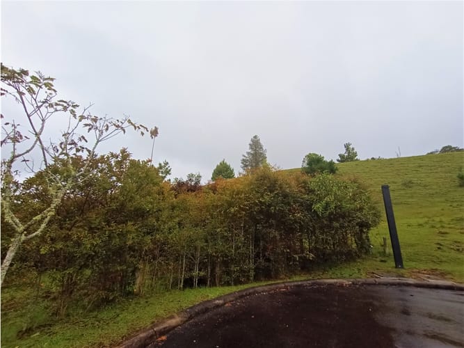 Lote en venta en Pantanillo, El Retiro, 8230 m² · foto 9 de 11