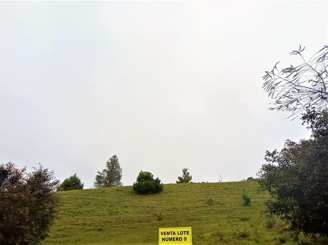 Lote en venta en Pantanillo, El Retiro, 8230 m² · foto 10 de 11