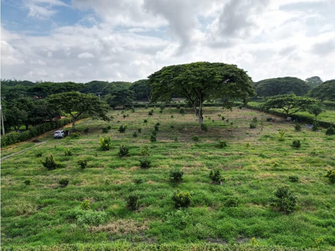 Lote en venta en Matapalo, Palmira, 10500 m² · foto 2 de 15