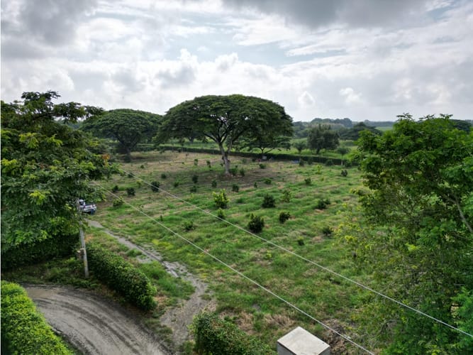 Lote en venta en Matapalo, Palmira, 10500 m² · foto 3 de 15