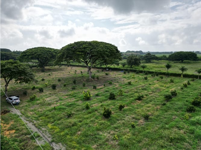 Lote en venta en Matapalo, Palmira, 10500 m² · foto 4 de 15
