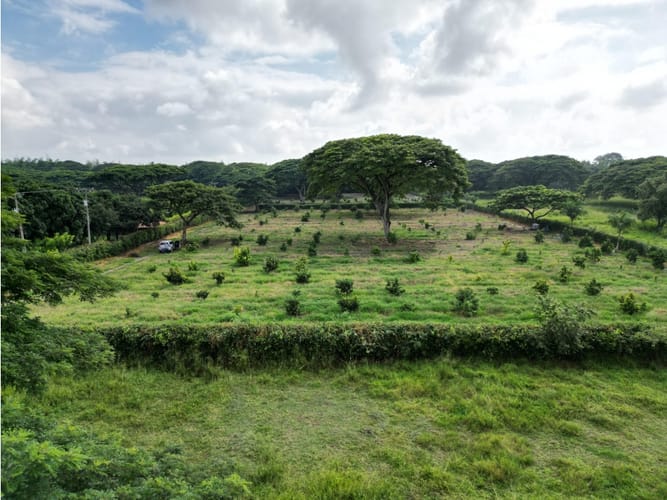 Lote en venta en Matapalo, Palmira, 10500 m² · foto 6 de 15