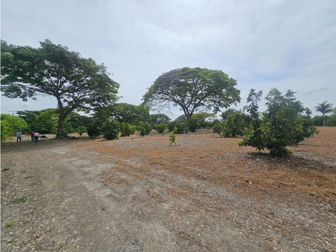 Lote en venta en Matapalo, Palmira, 10500 m² · foto 10 de 15